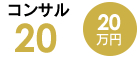 コンサル20（20万円）
