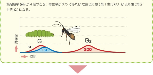 純増殖率(R0) が4倍のとき、寄生率が0.75であれば 幼虫200 頭(第１世代G1）は200 頭(第２世代G2)になる。