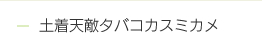 土着天敵タバコカスミカメ
