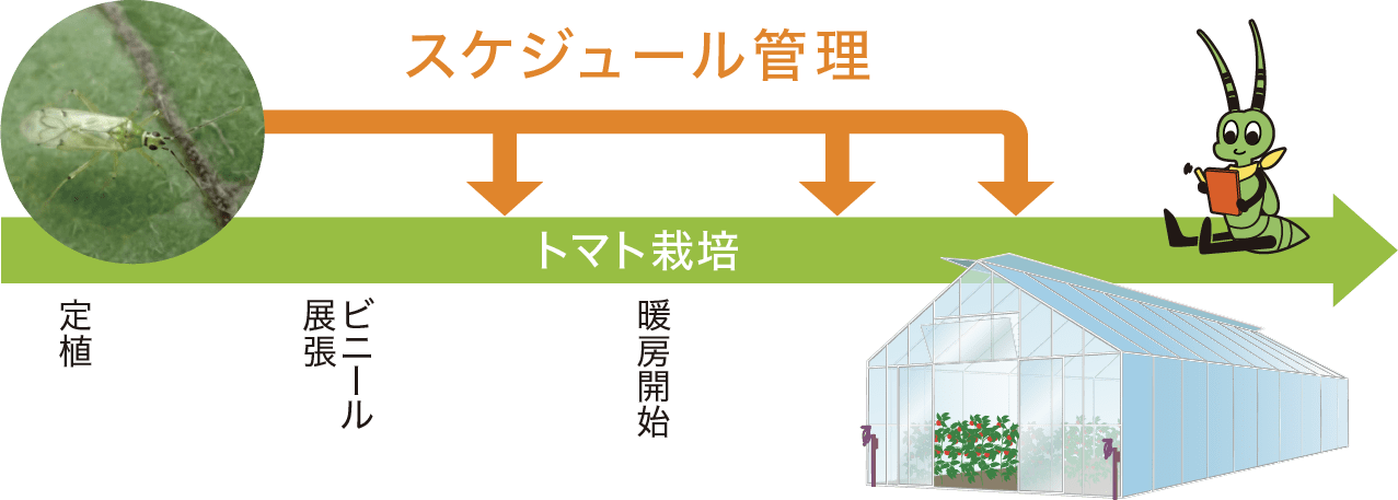 スケジュール管理の表